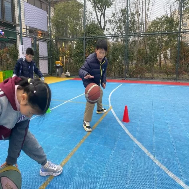 红土网球赛程新视角：第63组的深度解析